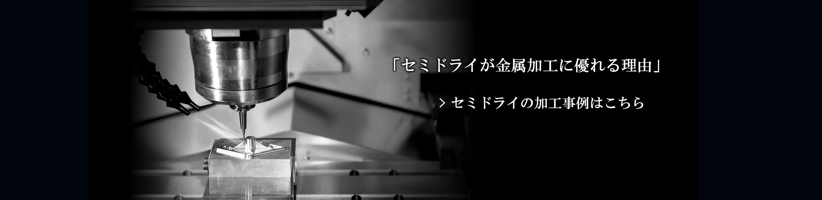 セミドライ